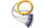 Pigtail and Patchcord